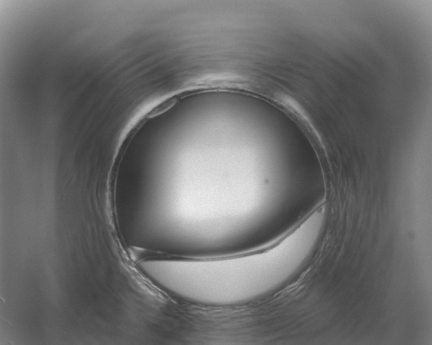 X0000060581336200511171647