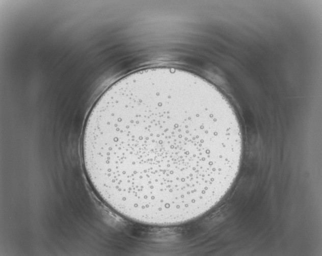 X0000060581338200511171647