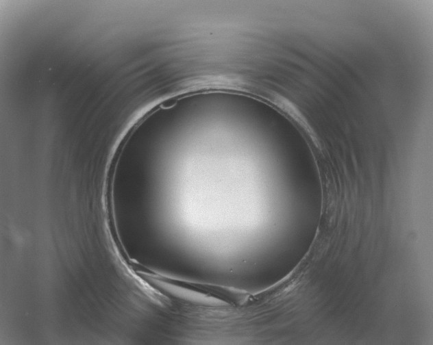 X0000060581339200511171647