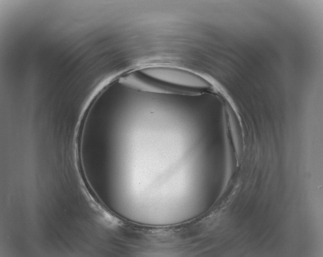 X0000060581341200511171647