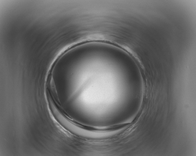 X0000060581342200511171647