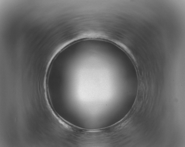 X0000060581343200511171647