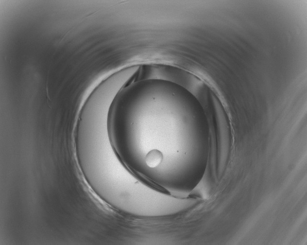 X0000060581344200511171647