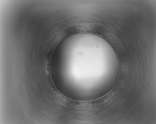 X0000060581346200511171647