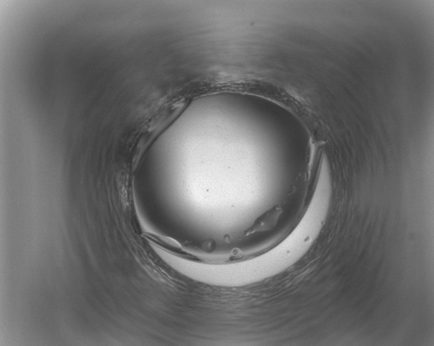 X0000060581348200511171647