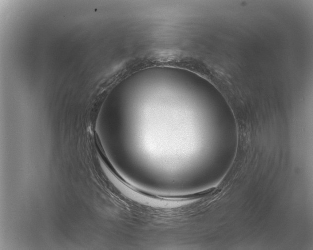 X0000060581349200511171647