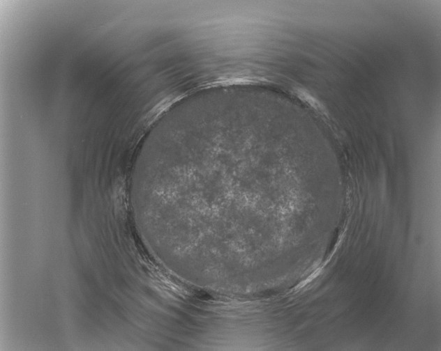 X0000060581353200511171647