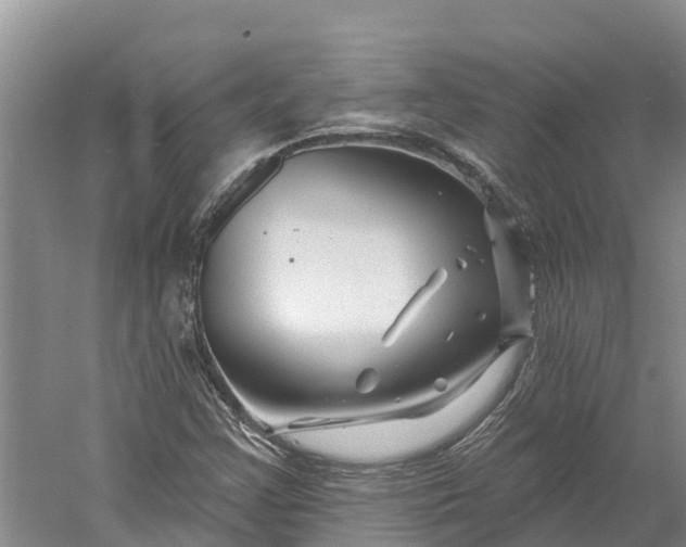 X0000060581355200511171647