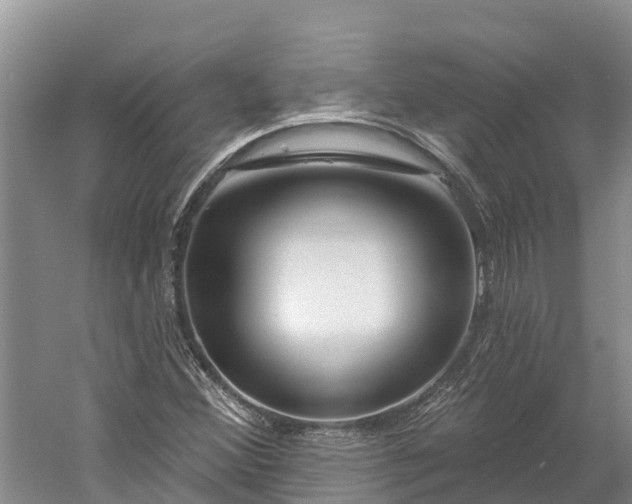 X0000060581356200511171646