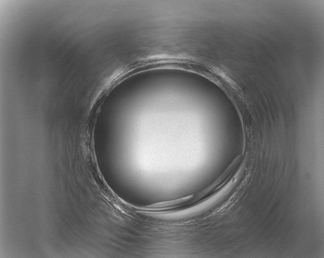 X0000060581357200511171646