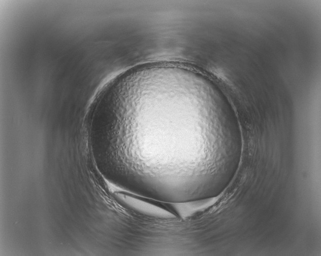 X0000060581358200511171646