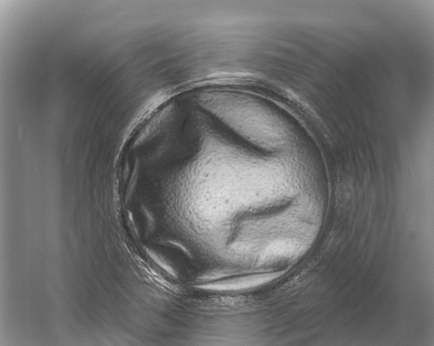 X0000060581362200511171646