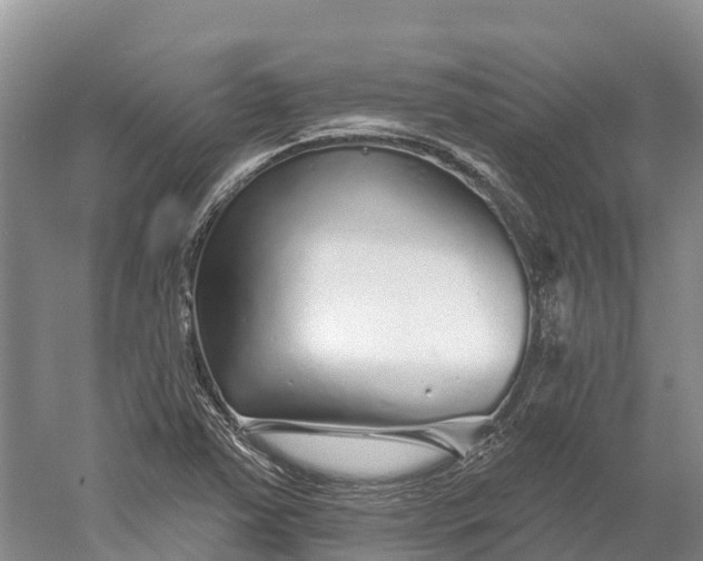 X0000060581363200511171646