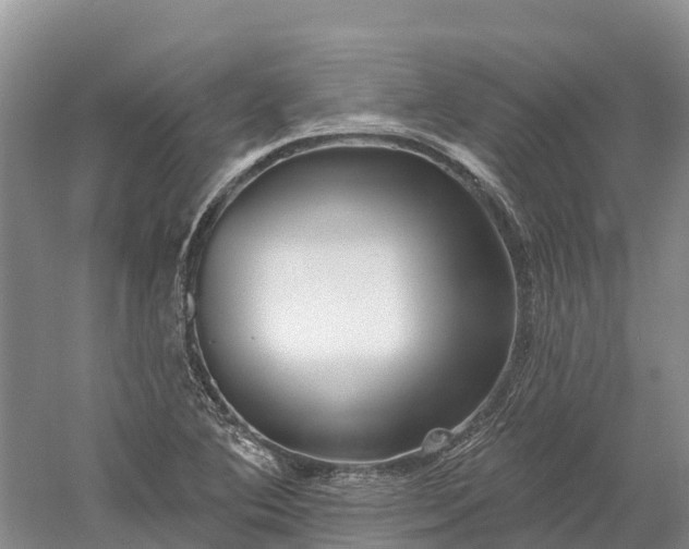 X0000060581364200511171646