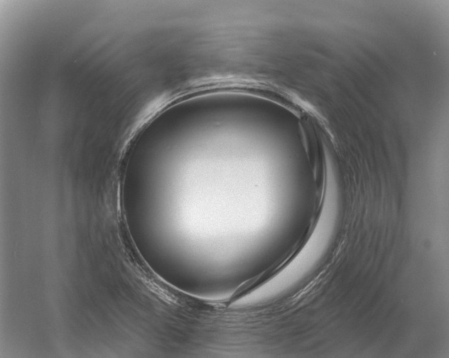 X0000060581365200511171646