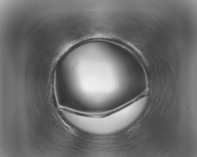 X0000060581367200511171646