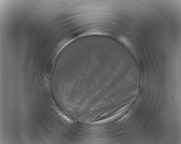 X0000060581369200511171646