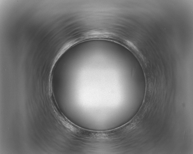 X0000060581370200511171646