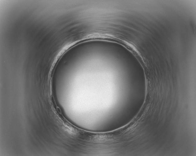 X0000060581371200511171646