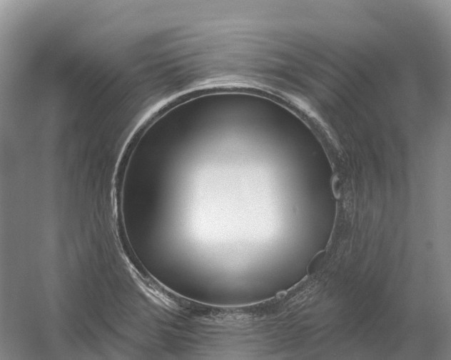 X0000060581372200511171646