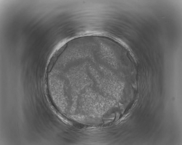 X0000060581373200511171646