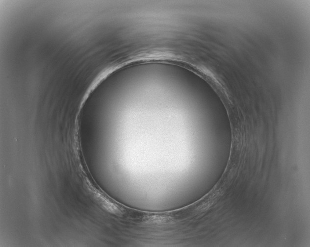 X0000060581374200511171646