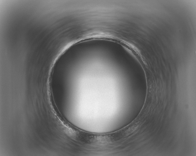 X0000060581375200511171646