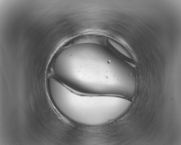 X0000060581376200511171646