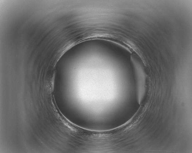 X0000060581377200511171646