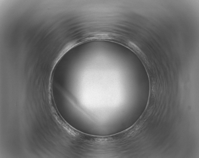 X0000060581378200511171646