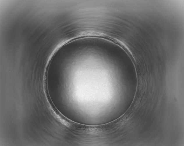 X0000060581379200511171646