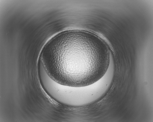 X0000060581380200511171646