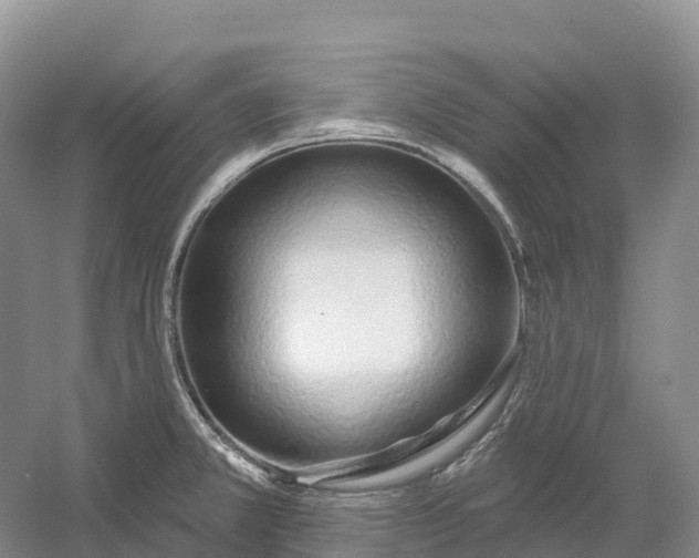 X0000060581381200511171646