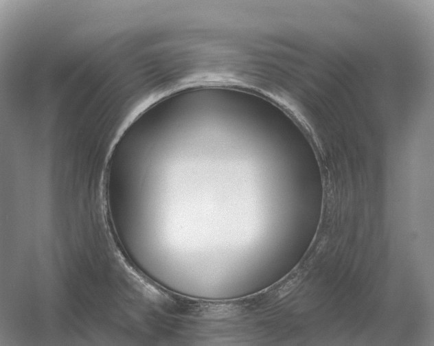 X0000060581382200511171646