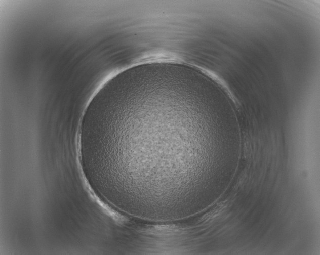 X0000060581383200511171646