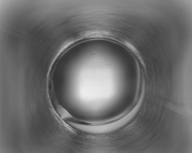 X0000060581384200511171646