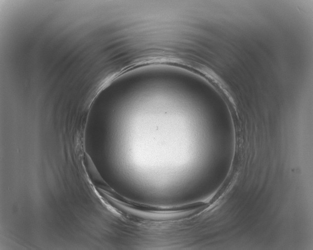 X0000060581385200511171646