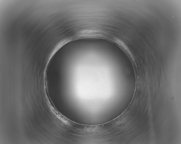 X0000060581386200511171646