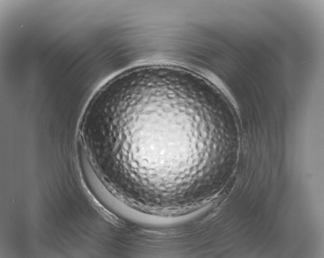 X0000060581388200511171646