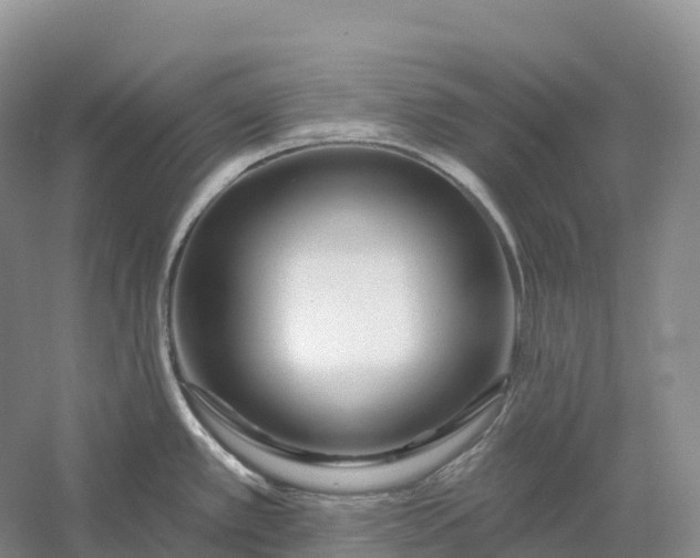 X0000060581389200511171646