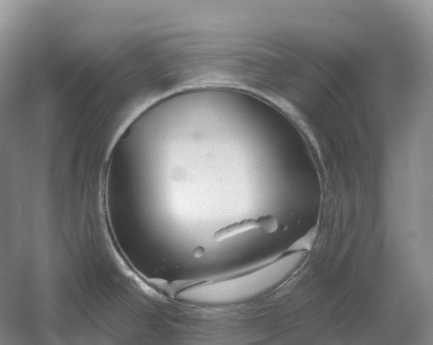 X0000060581390200511171646