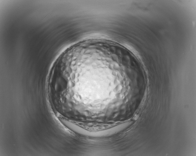 X0000060581392200511171646