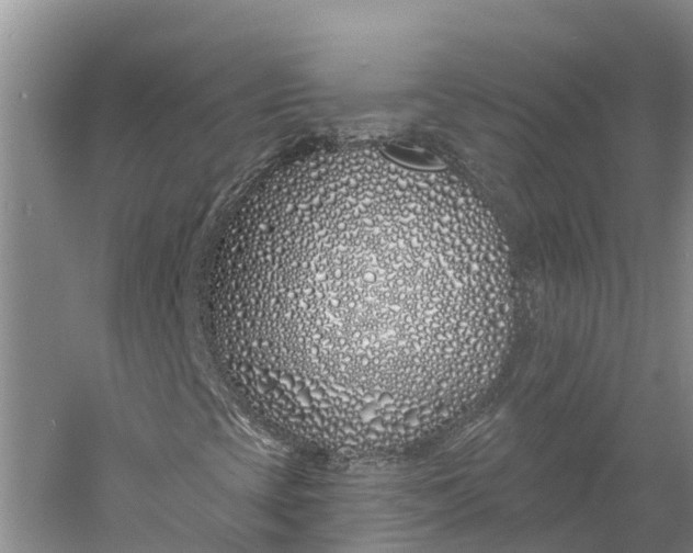 X0000060581393200511171645