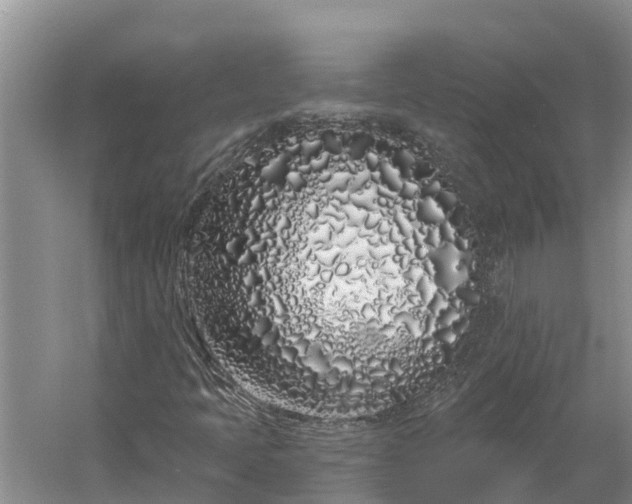 X0000060581397200511171645