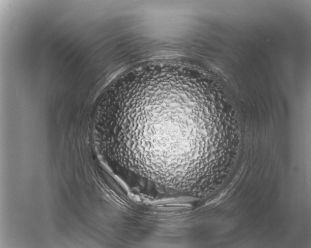 X0000060581401200511171645