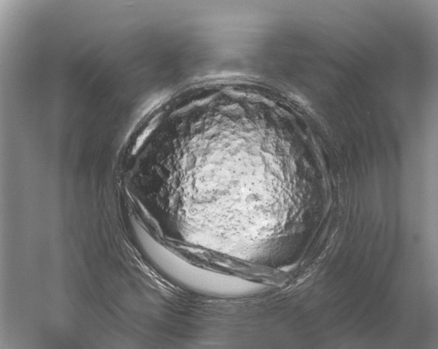 X0000060581405200511171645