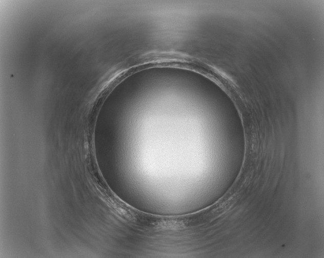 X0000060581407200511171645