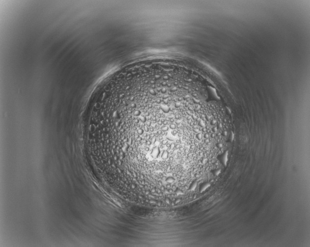 X0000060581411200511171645