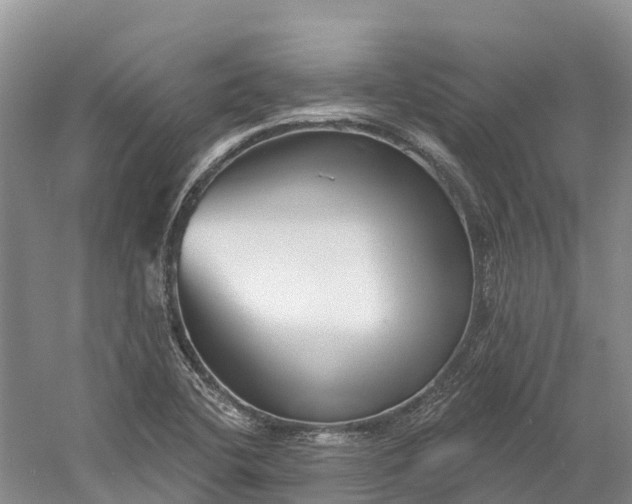 X0000060581412200511171645