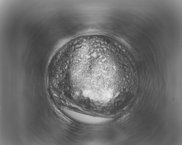 X0000060581413200511171645